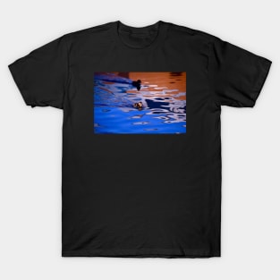 duckling red blue T-Shirt